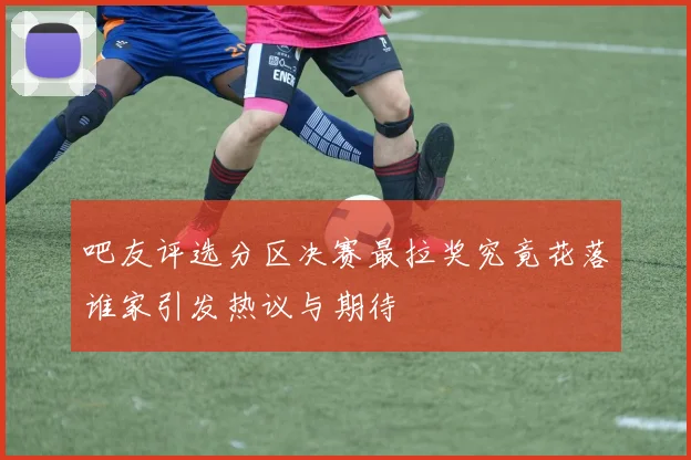 吧友评选分区决赛最拉奖究竟花落谁家引发热议与期待